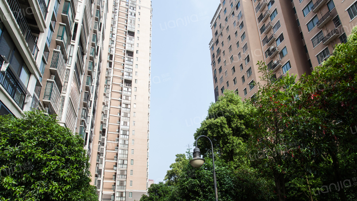 金税荣城外景图