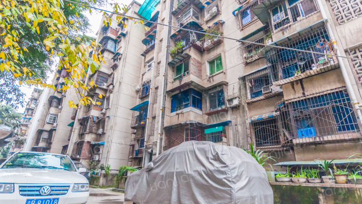 松石大道100号外景图