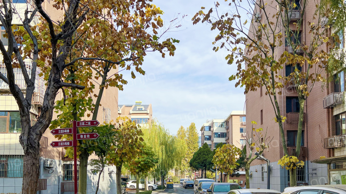 西上园老三区外景图