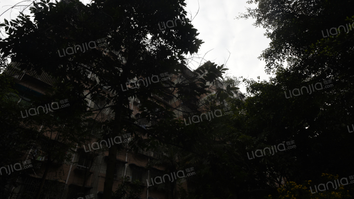 龙庆小区外景图