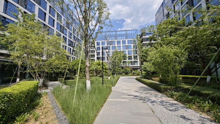 云安小镇外景图