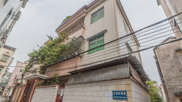 红棉街横巷外景图