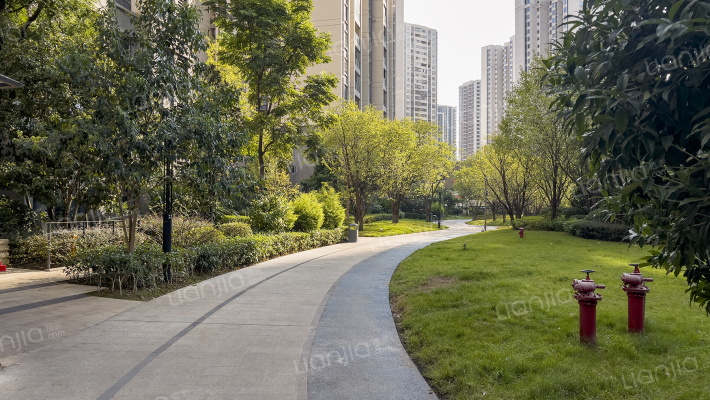 双福时代广场锦绣外景图