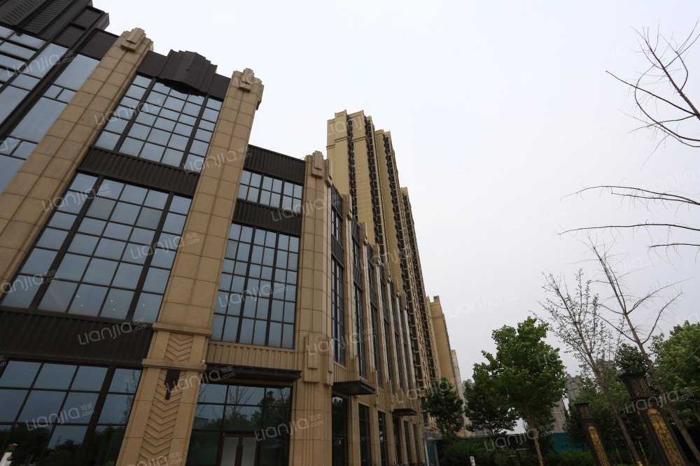 高远森林城相册