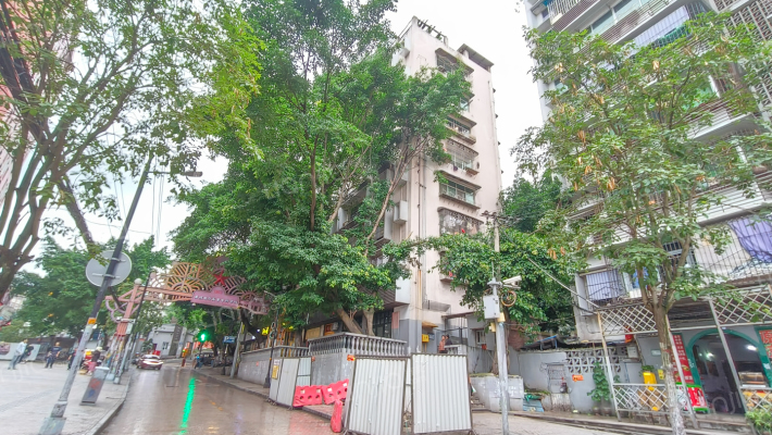 电力五村外景图