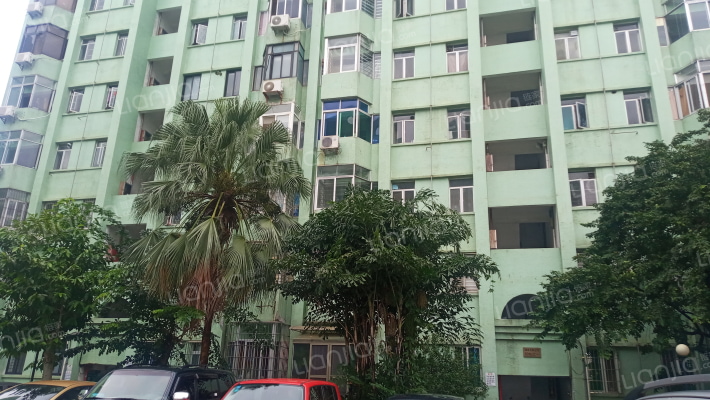 龙珠新城外景图