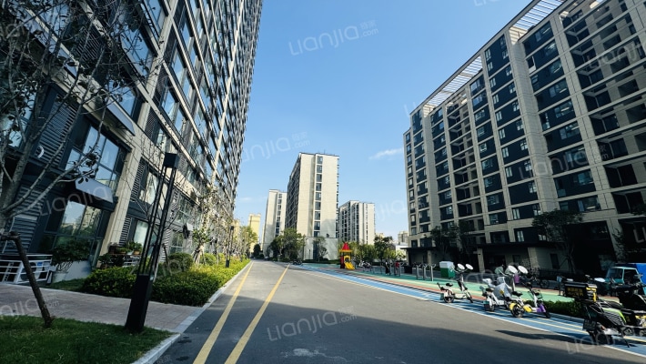 泰山玉兰花园外景图