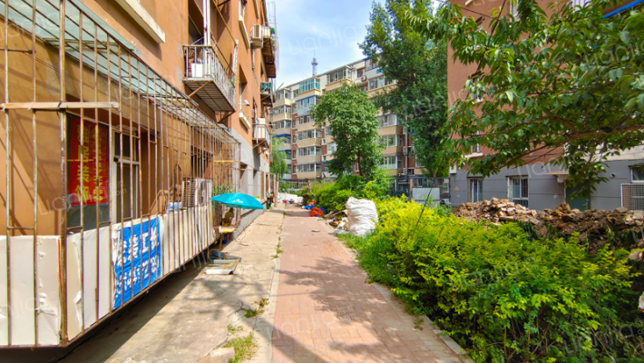 电力五小区外景图