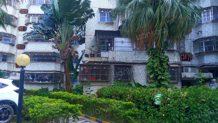 玉和花园外景图