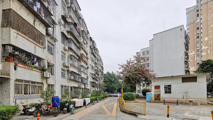 香荔新村外景图