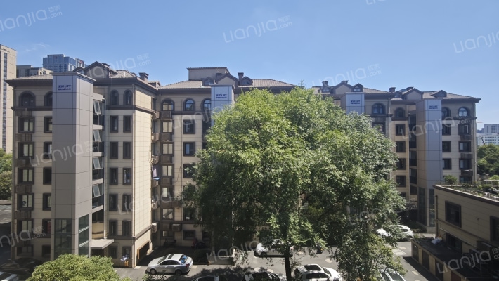 紫兰花苑外景图