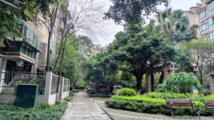 胜地金芙蓉外景图