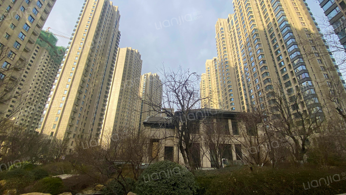 香檀一号外景图