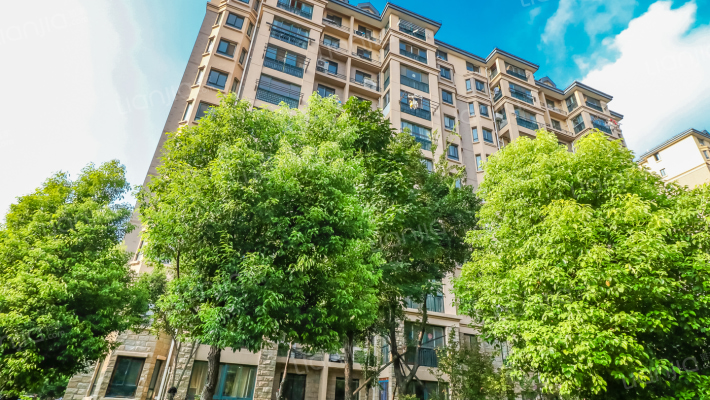 永嘉金色雅筑B区外景图