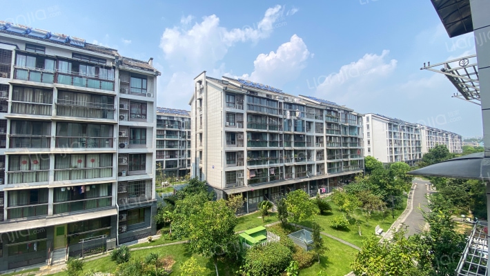 荷韵江南苑外景图