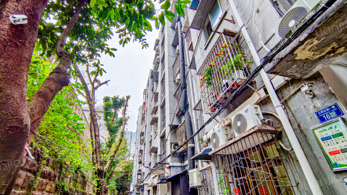 大坪正街一巷外景图