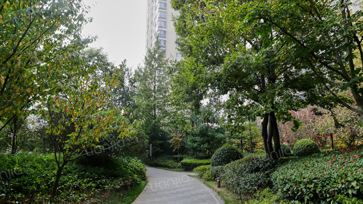 瑞源名嘉汇外景图