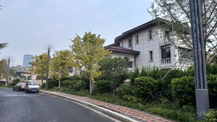 中润华侨城别墅岛外景图