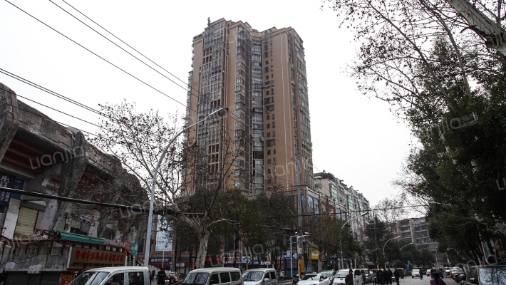 玫瑰银座外景图