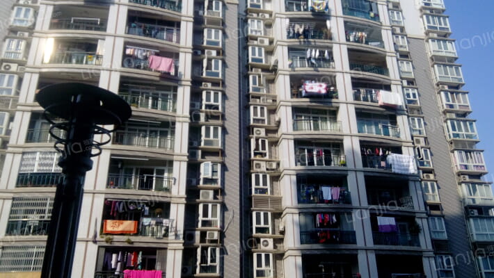 紫藤花园外景图