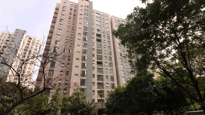 旭日华庭金棕榈南区外景图