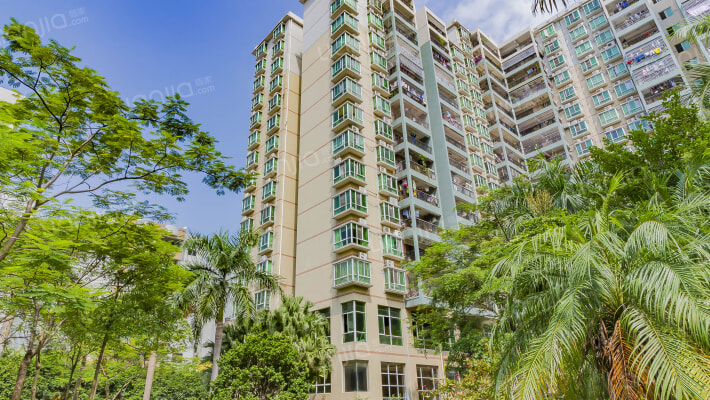 城市绿兴外景图