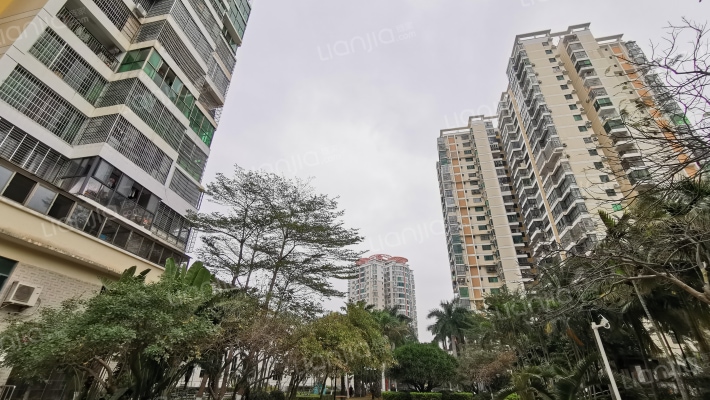 蓝岛康城外景图