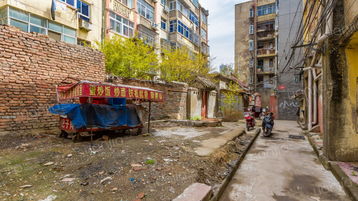 莲花19号外景图