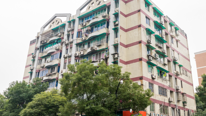 定安路37号外景图