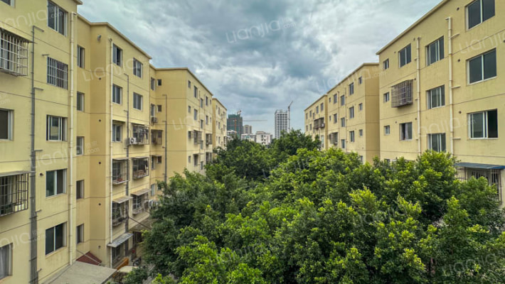 文化苑小区外景图