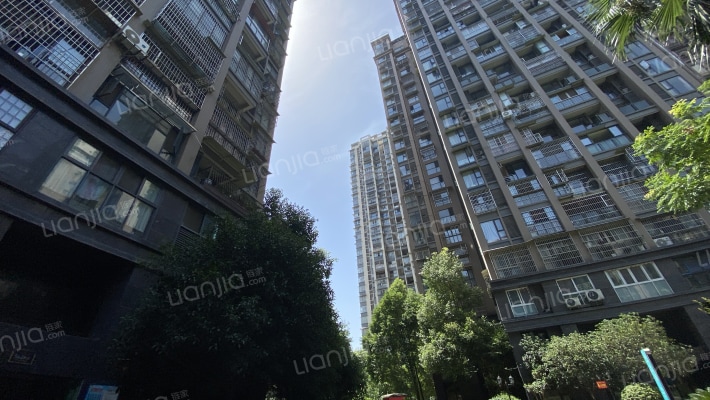 大地国际花园外景图