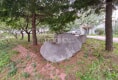 锦泉源B5区45