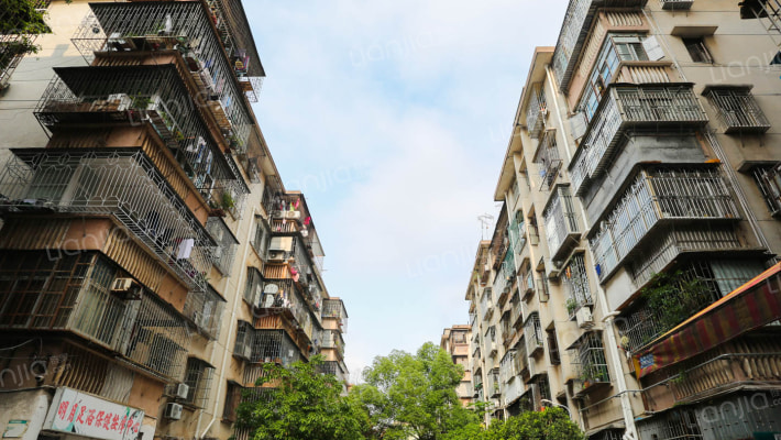 华丽东村外景图