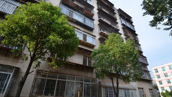 云南地质调查队小区外景图