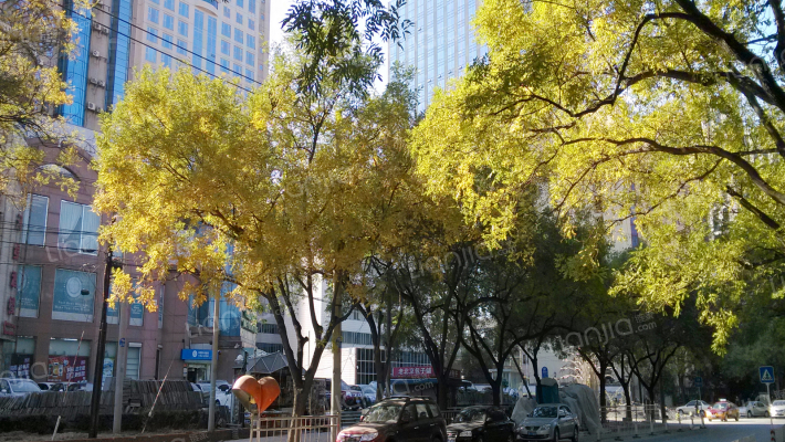 锦湖园公寓外景图