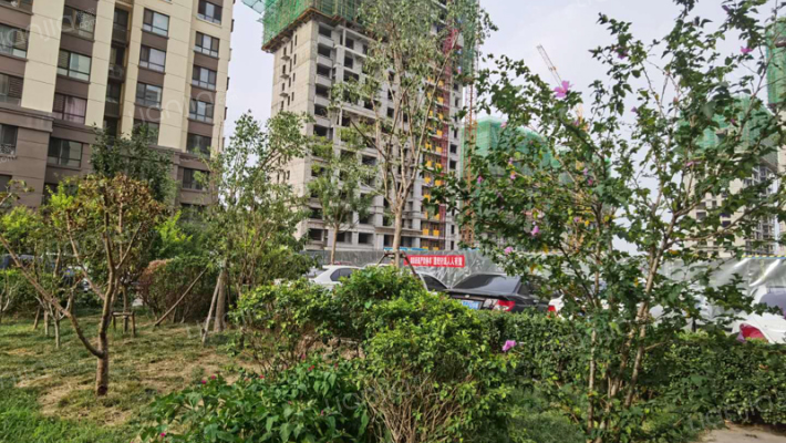 金科集美天城外景图