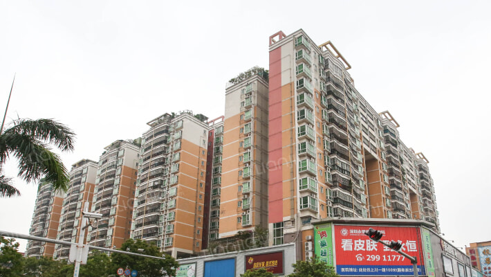 金叶茗苑外景图