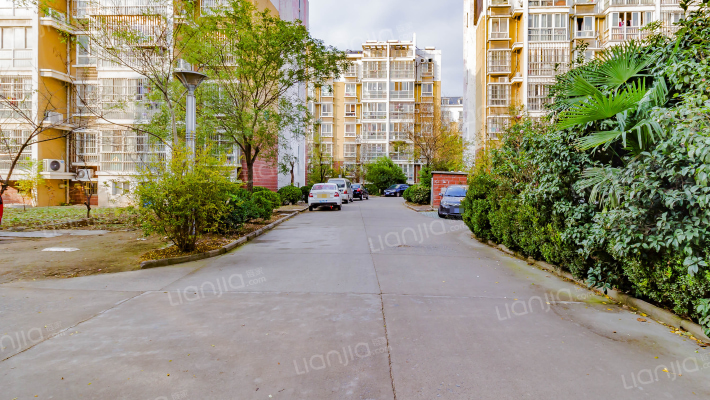 御花园C区外景图