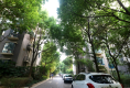 东郊小镇第一街区3