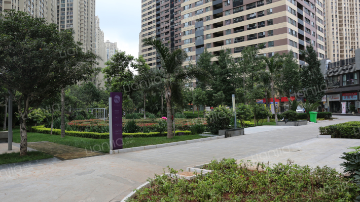 葡萄街区天宇佳苑外景图