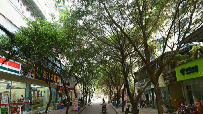 斜阳路1号外景图