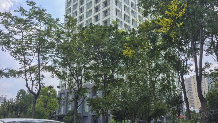 兴业骏豪华庭外景图