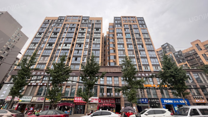 君雁金梧桐外景图