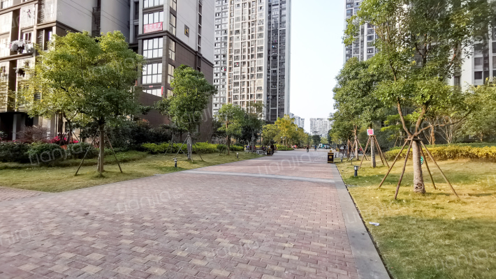 葛屿新苑外景图