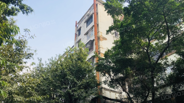 佛山市禅城区体育路17号外景图