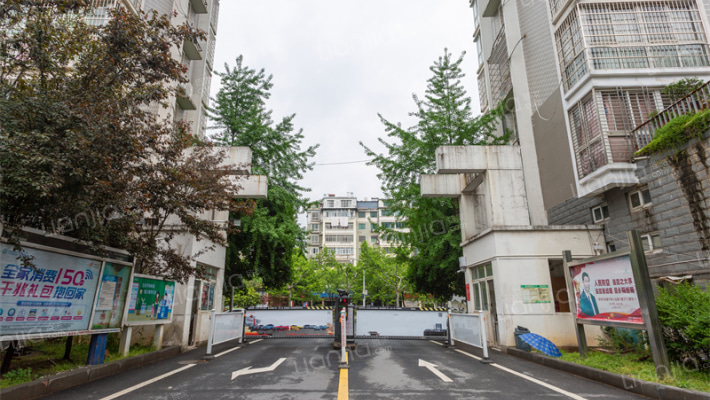 香樟花園外景图