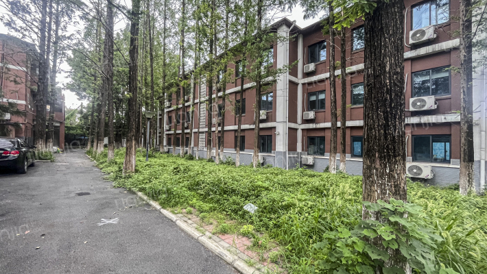 行知学校教师宿舍楼外景图