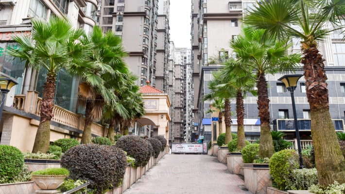 碧园花城外景图