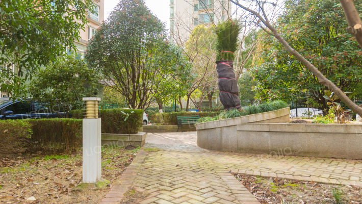 中虹花园丽都苑外景图