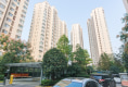 森林半岛7